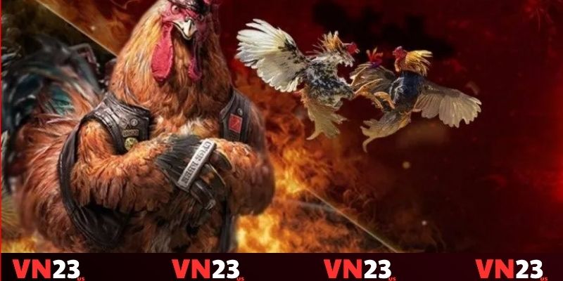 Đá gà tre dành cho những yêu thích sự dẻo dai cùng lối đánh lì lợm