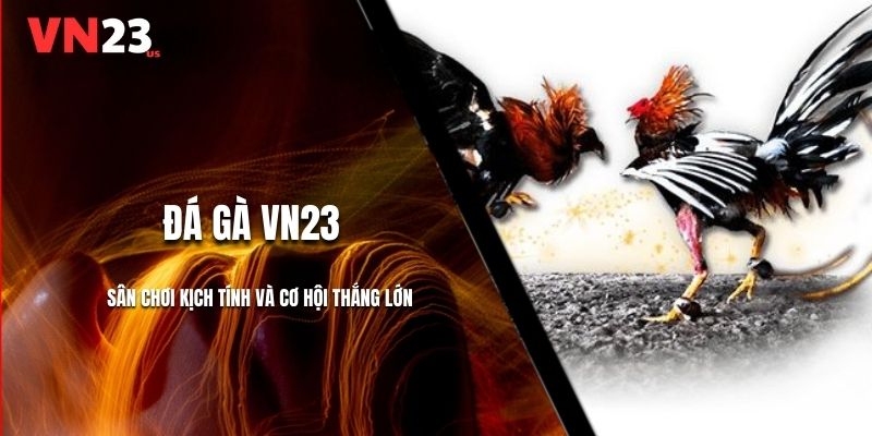 Đá Gà VN23: Sân Chơi Kịch Tính Và Cơ Hội Thắng Lớn