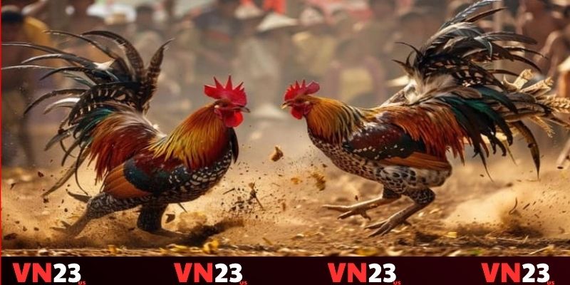 Nâng cao trải nghiệm cược cho bet thủ